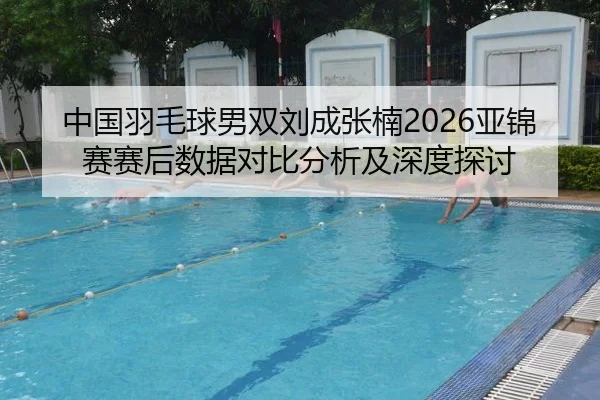 中国羽毛球男双刘成张楠2026亚锦赛赛后数据对比分析及深度探讨